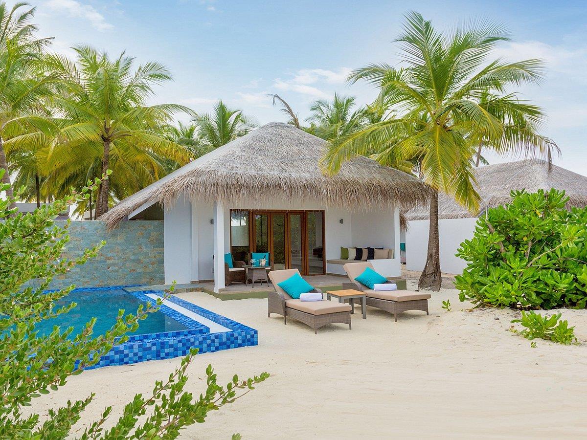 Cocoon Maldives. Фото 3