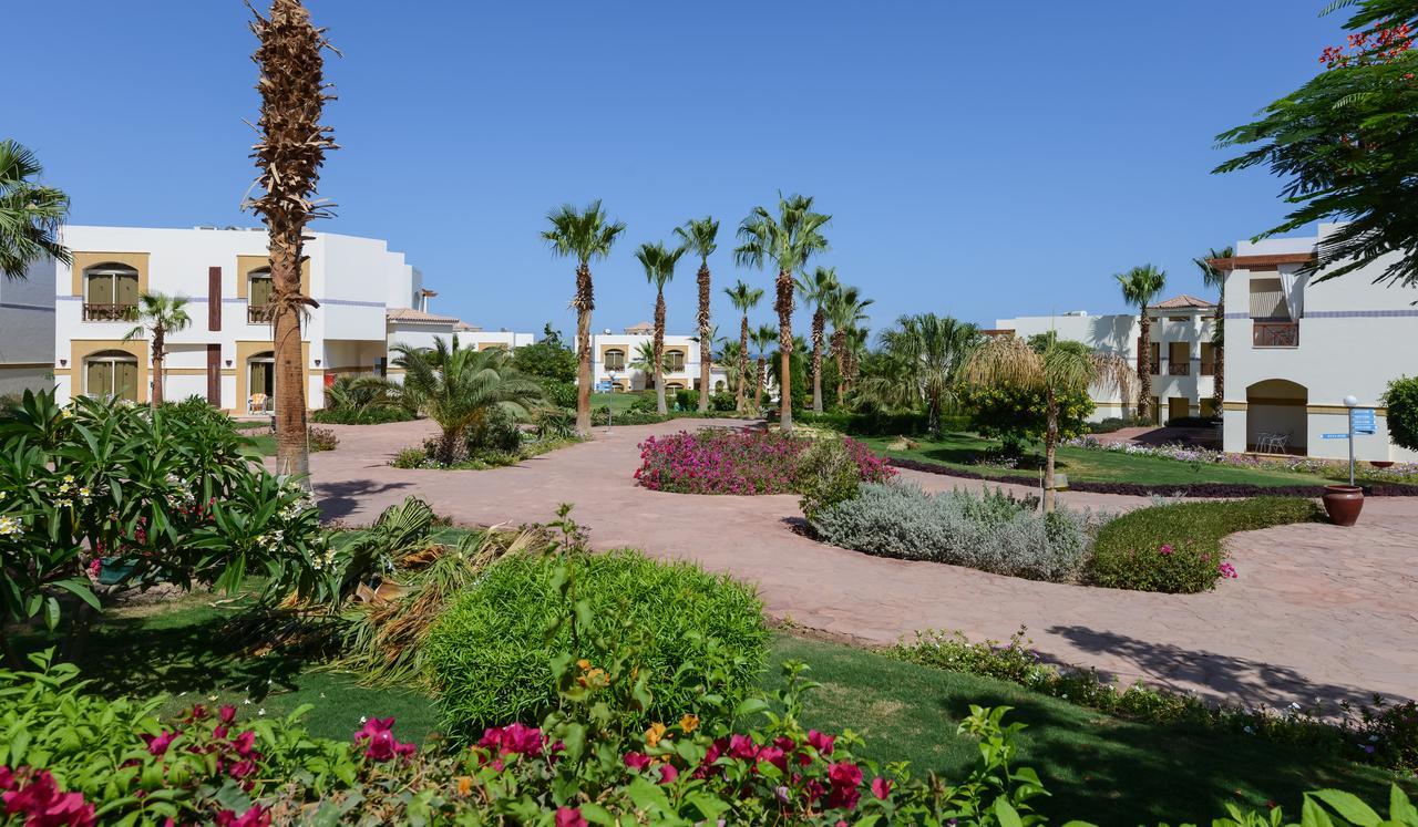 Amphoras Blu Hotel. Фото 2