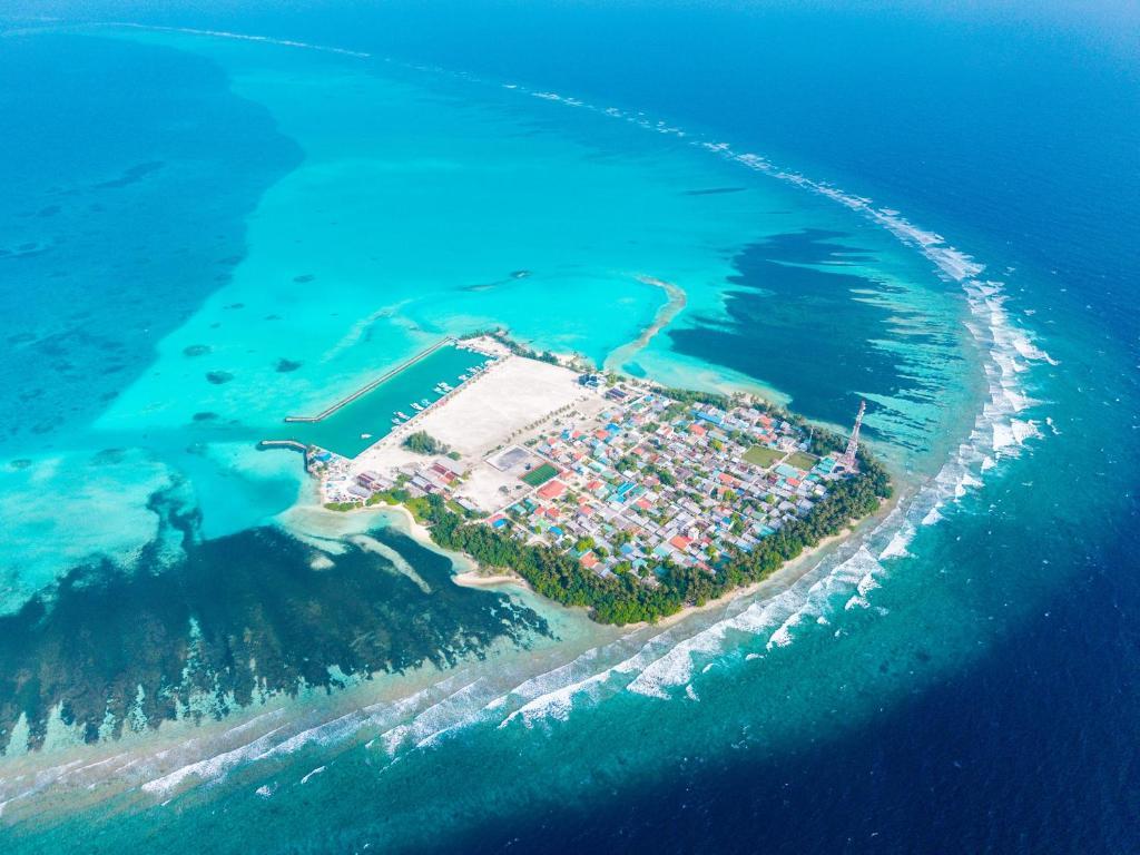 Pavona Maldives. Фото 4