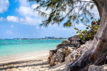 Comfort Suites Seven Mile Beach Cayman Islands. Фото 4