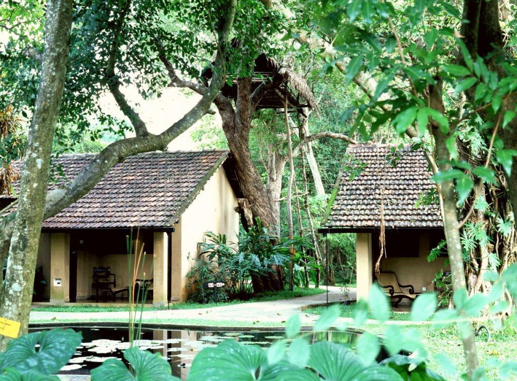 Sigiriya Village. Фото 2