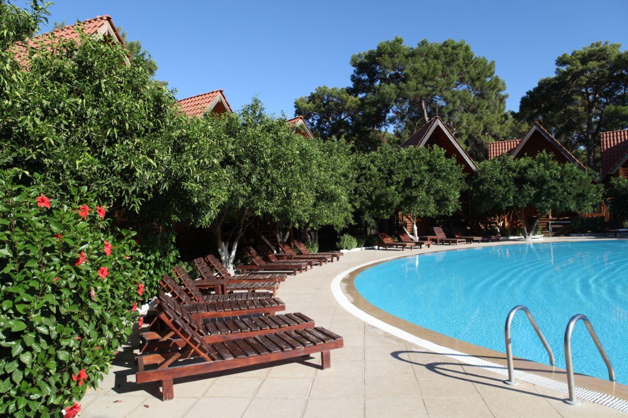 Woodline Hotel. Фото 2