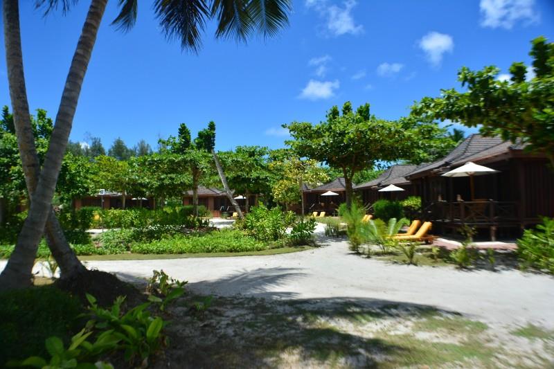 Heliconia Grove. Фото 1