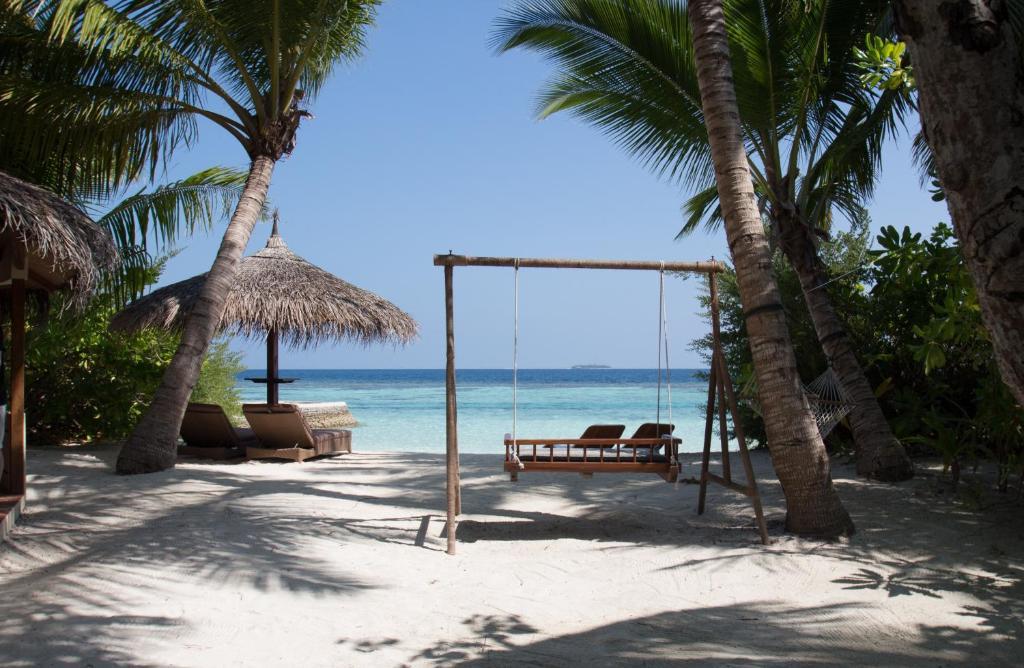 Nika Island Resort & Spa. Фото 2