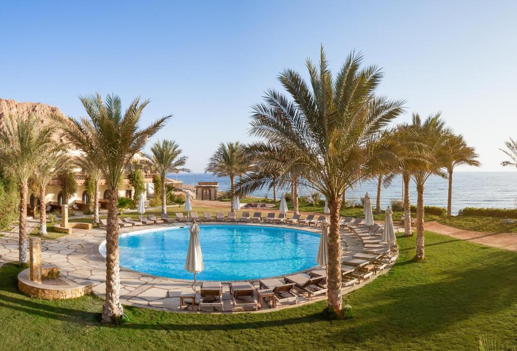 Dahab Paradise. Фото 2