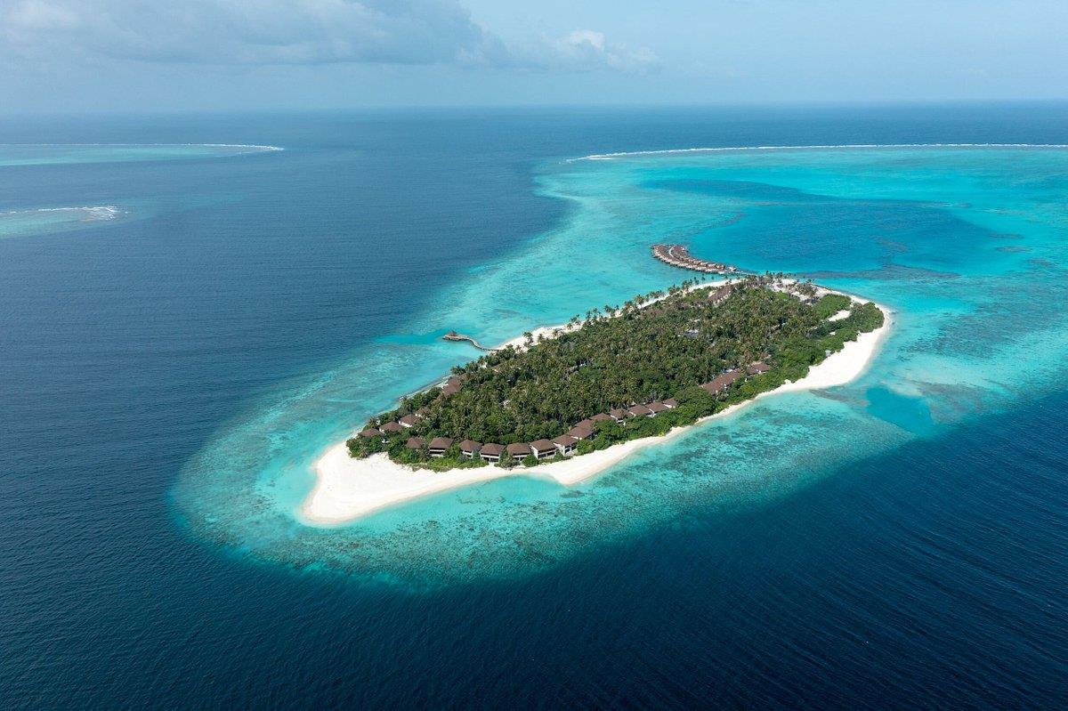 Avani+ Fares Maldives Resort. Фото 4