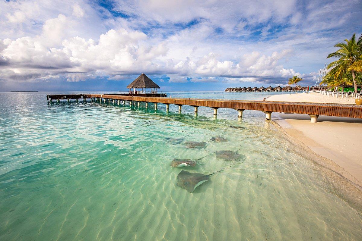 Sun Siyam Vilu Reef. Фото 3