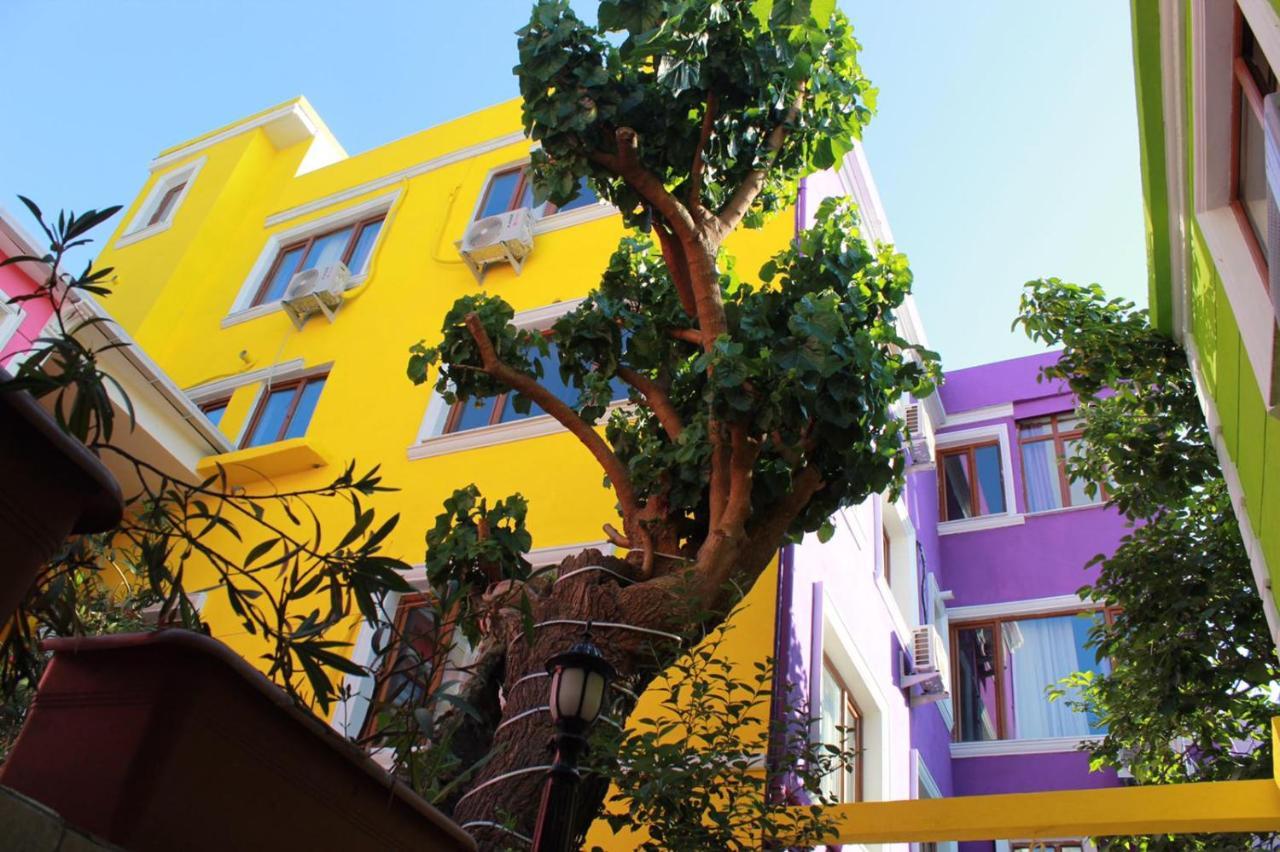 The Zanadu. Фото 1