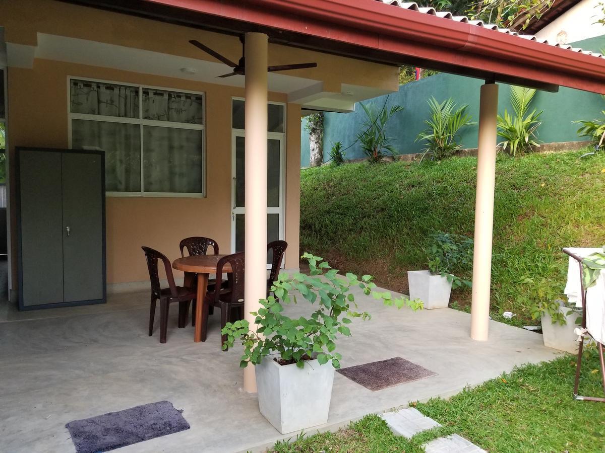 Coral Palm Villa & Apartment. Фото 2