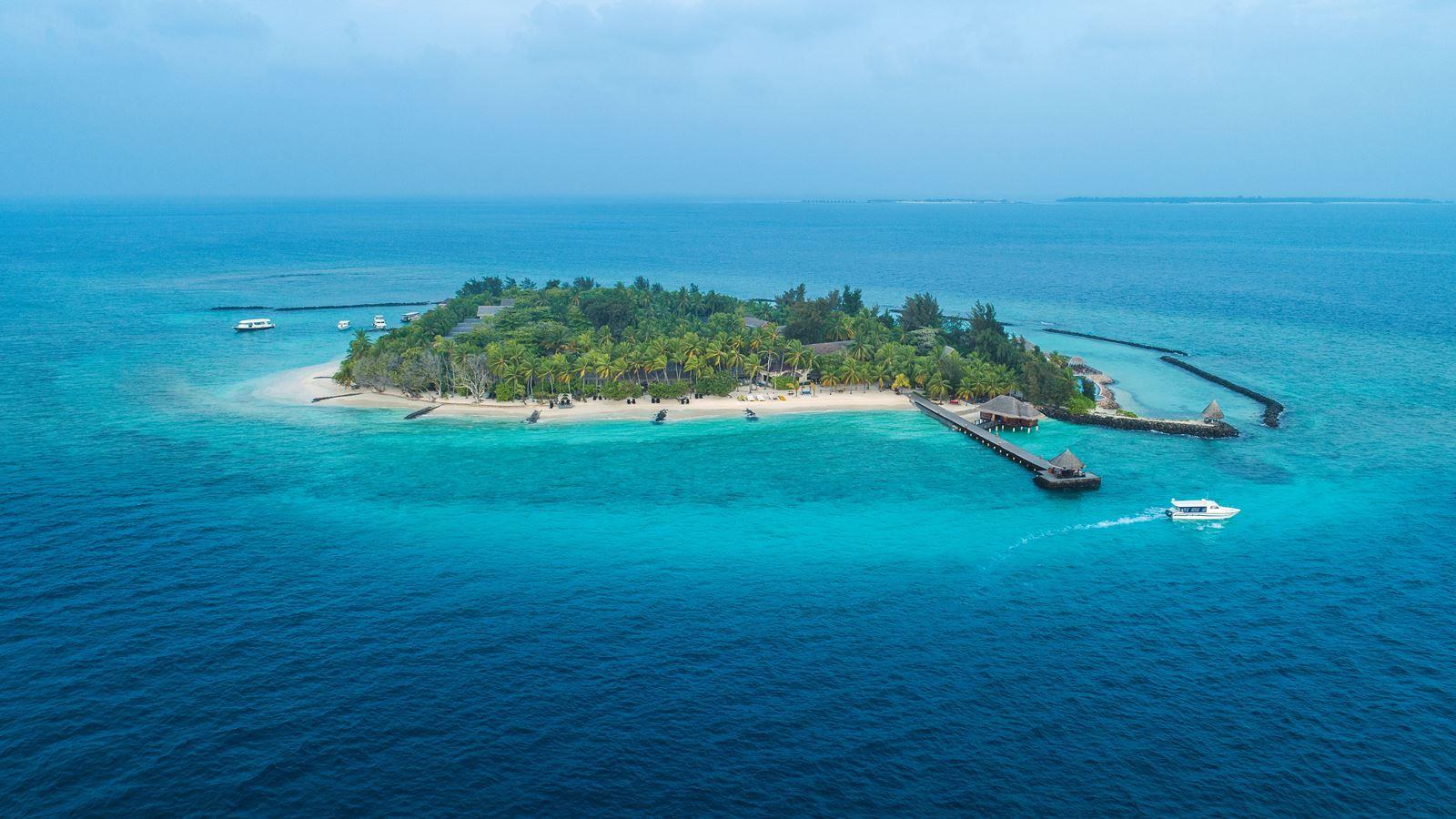Taj Coral Reef Resort & Spa. Фото 2