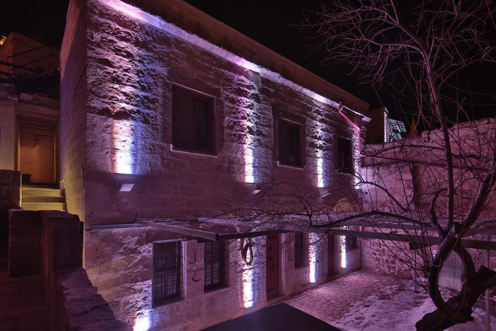 La Maison du Reve. Фото 2