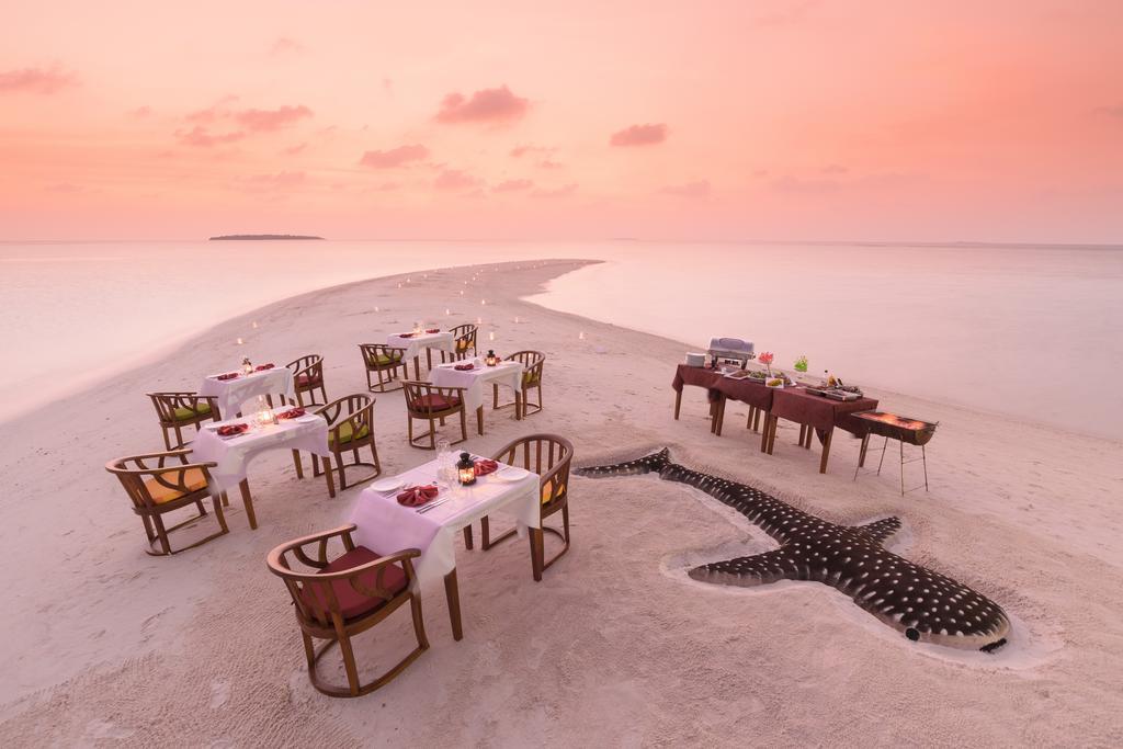 Dhigufaru Island Resort. Фото 3
