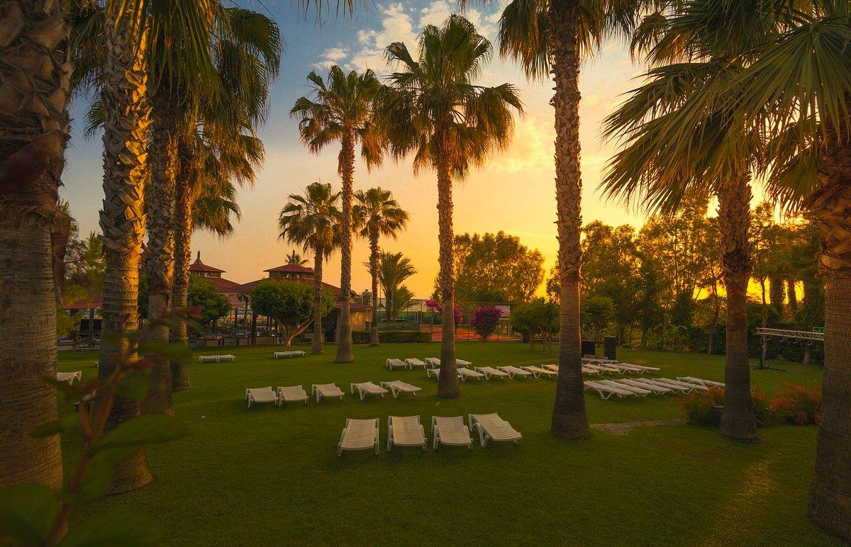 Terrace Beach Resort. Фото 4