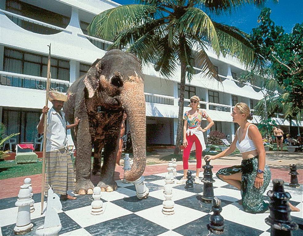Club Palm Garden. Фото 1
