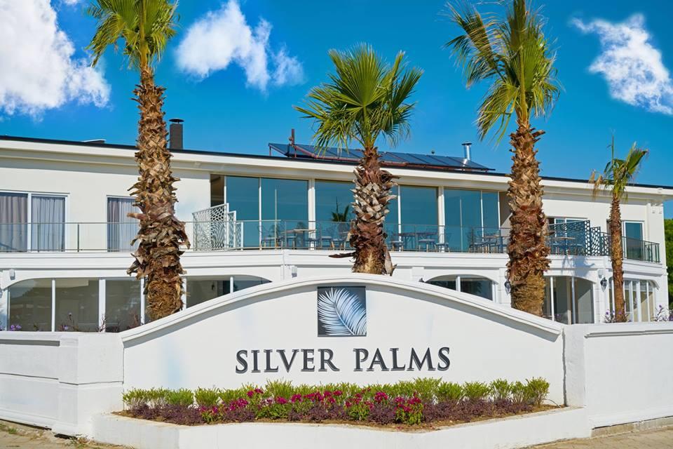 Silver Palms. Фото 1