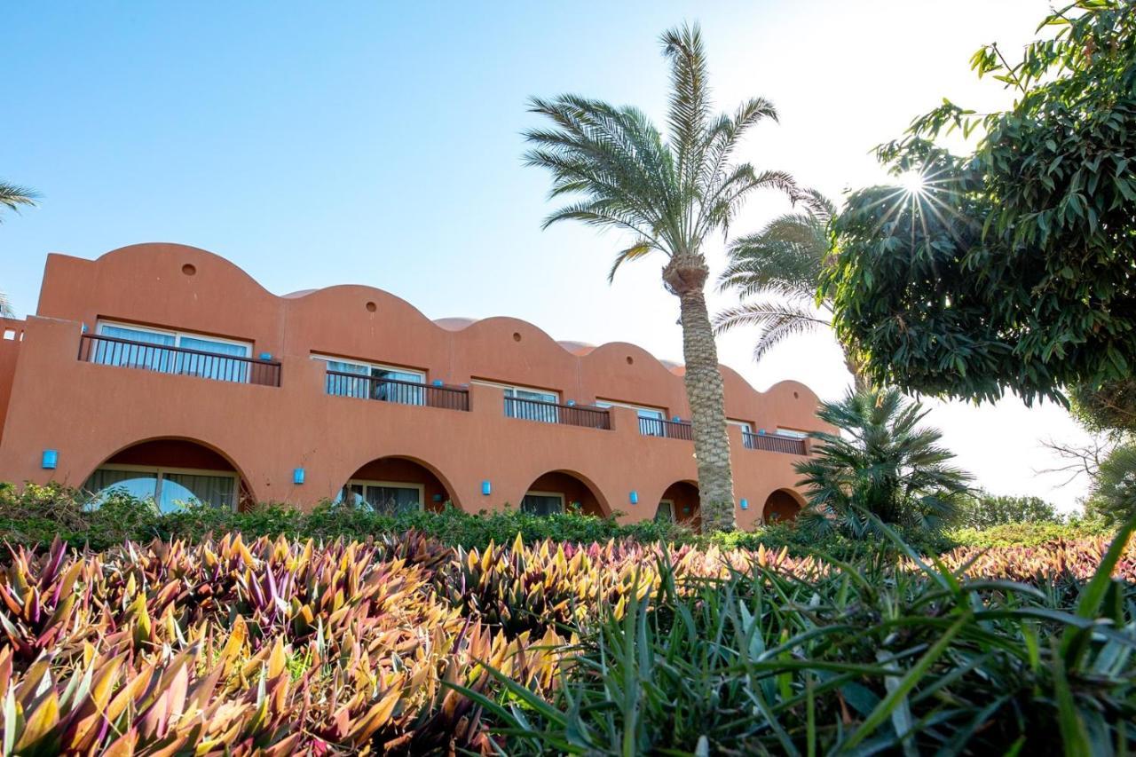 Novotel Marsa Alam. Фото 2