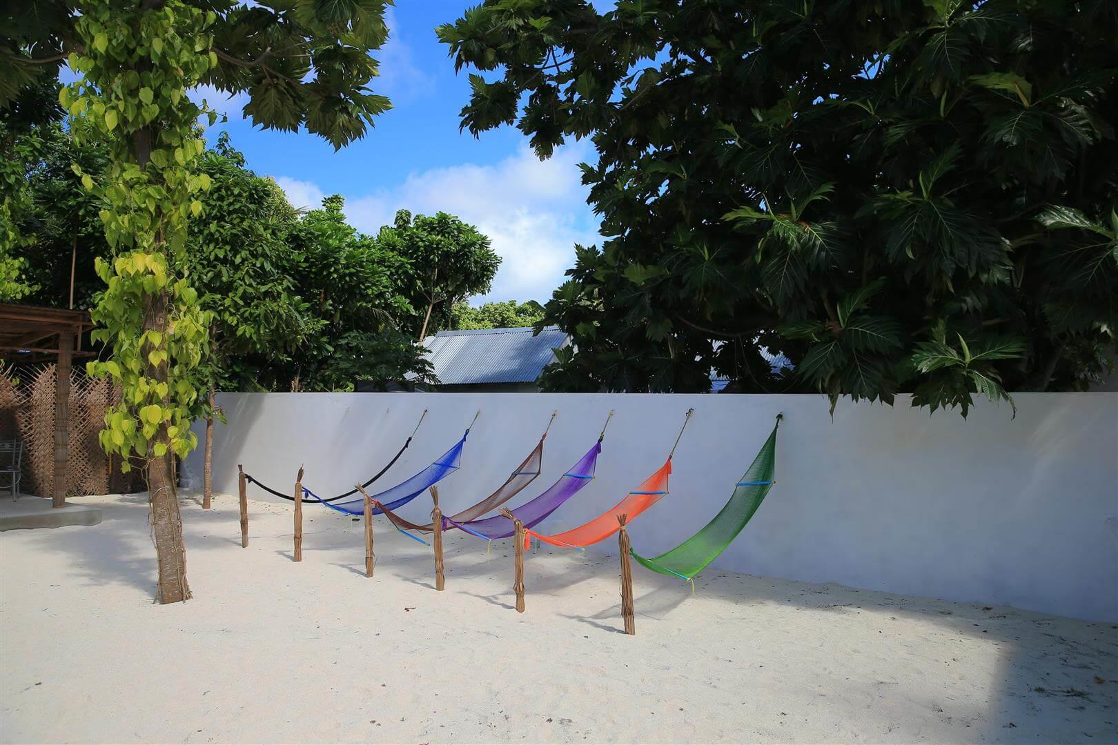 Serene Sky Guest House. Фото 2