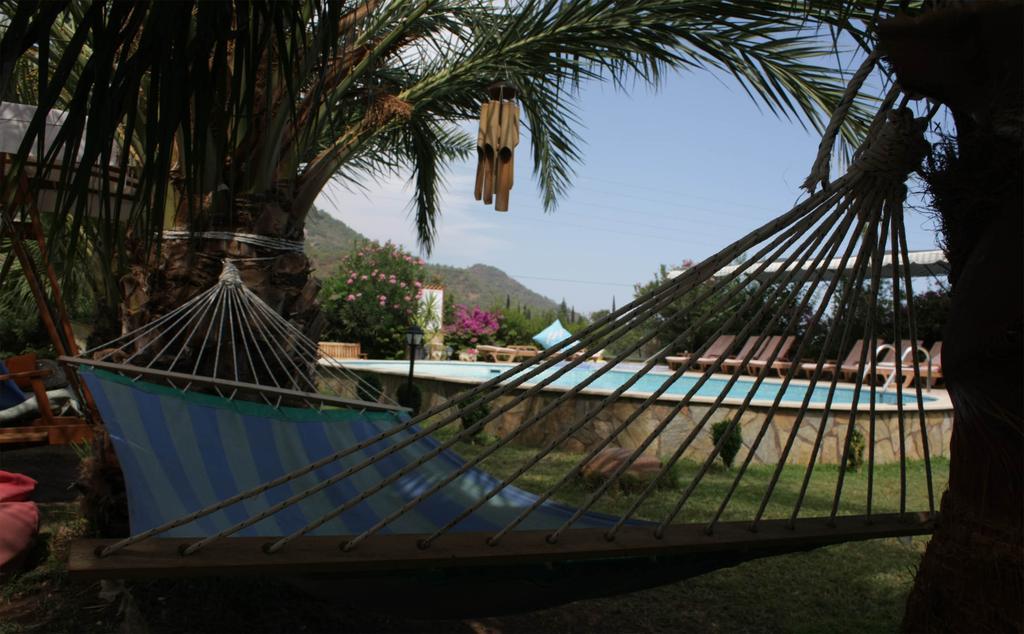 Adrasan Papirus Hotel. Фото 4