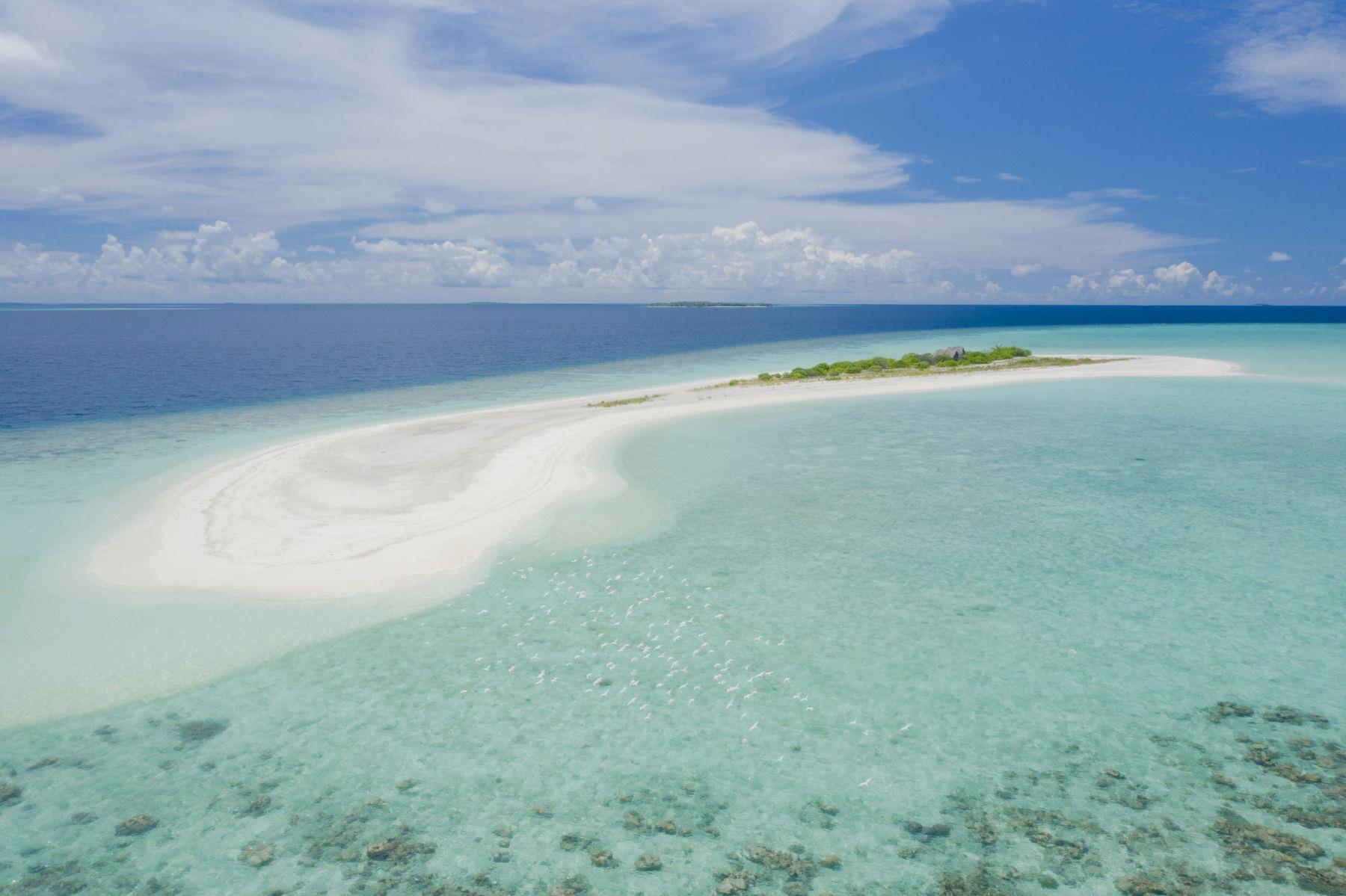 Royal Island Resort & Spa. Фото 3