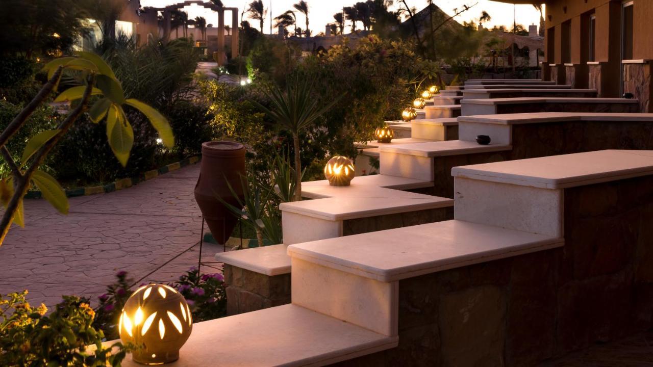 Silver Beach Redsea Resort - Adults Only. Фото 4