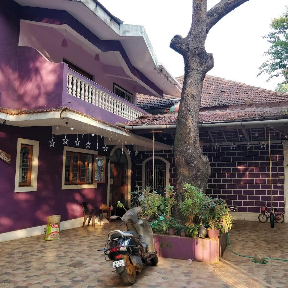 Orchid Beach House. Фото 1