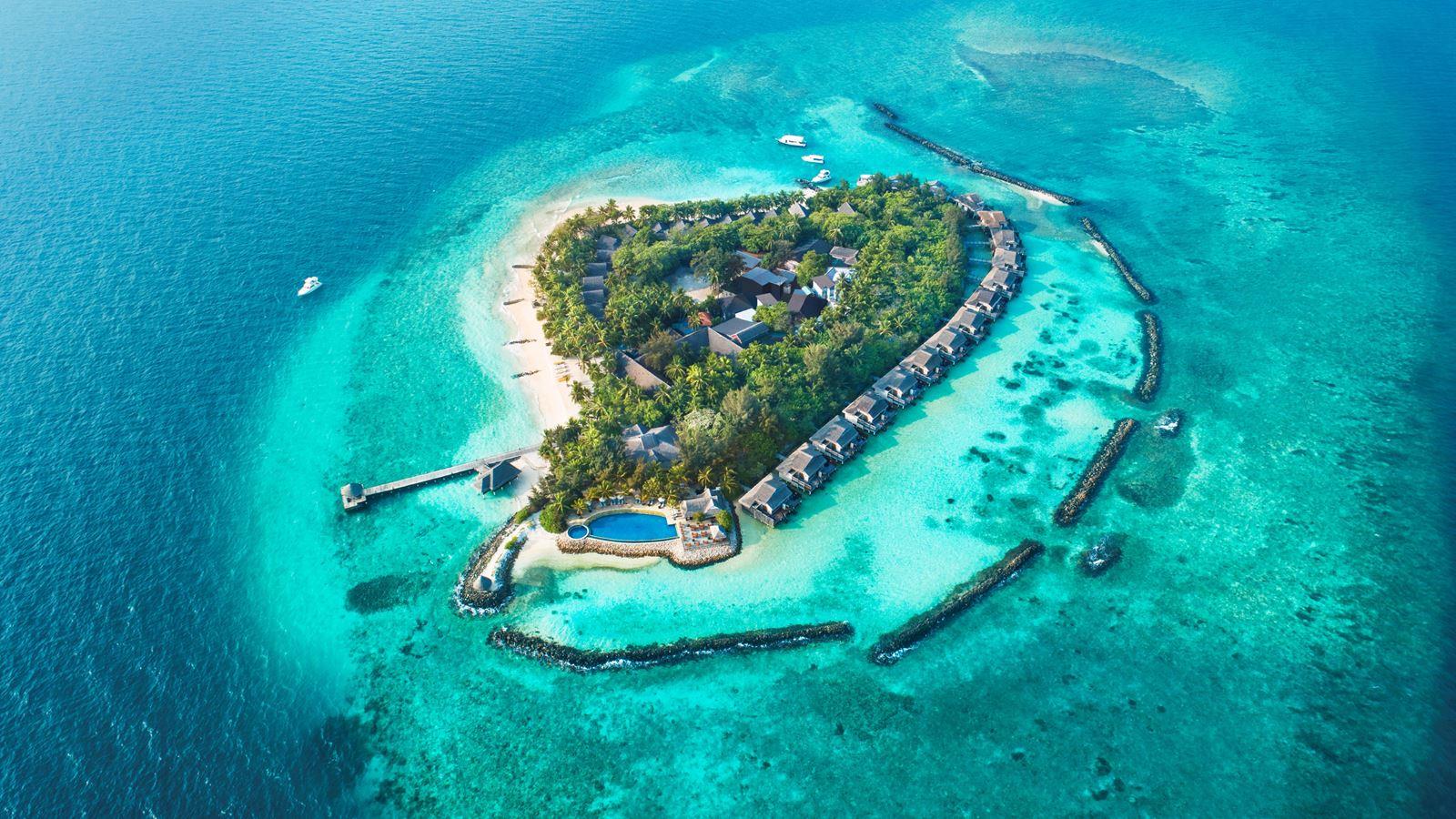 Taj Coral Reef Resort & Spa. Фото 3
