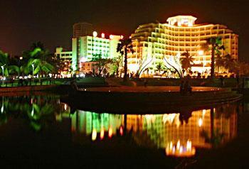 Golden Phoenix. Фото 2