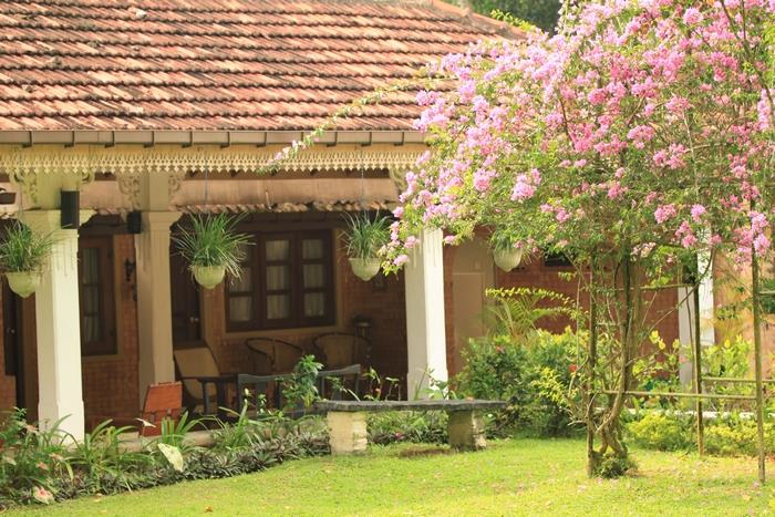 Plantation Villa. Фото 4
