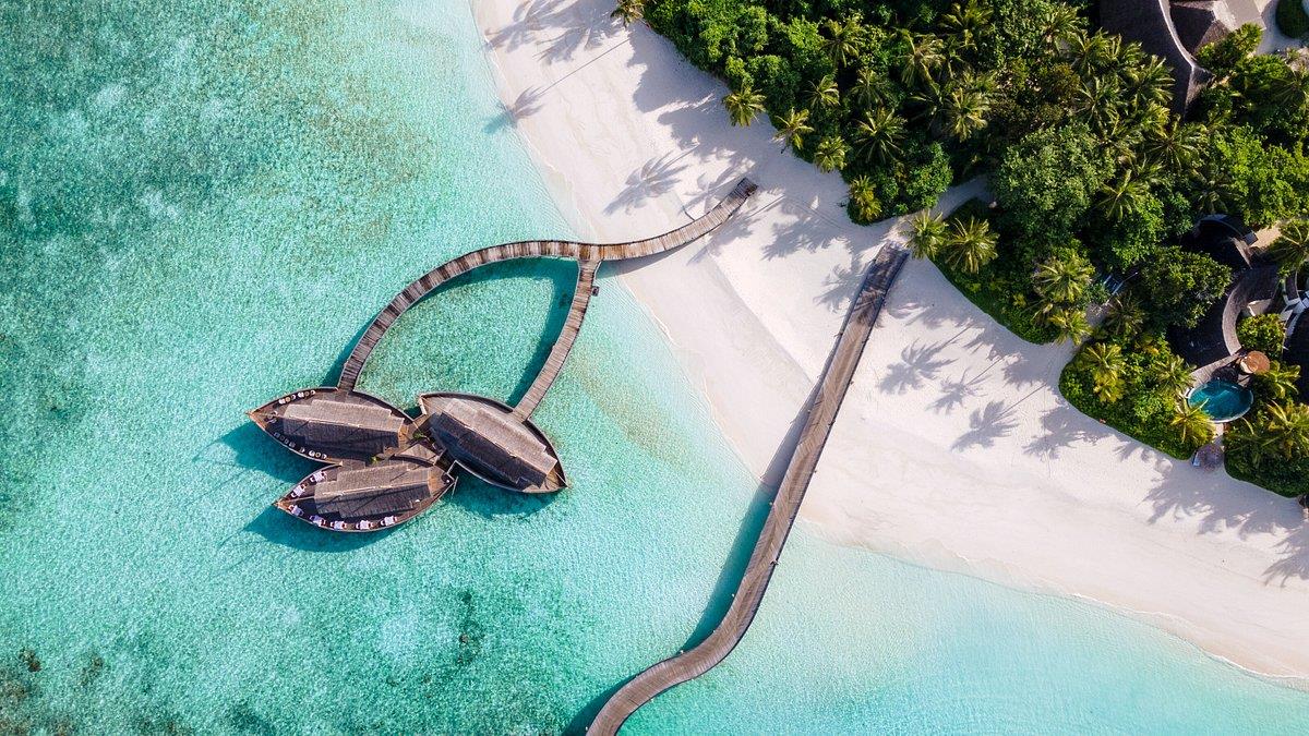 Milaidhoo Island Maldives. Фото 3