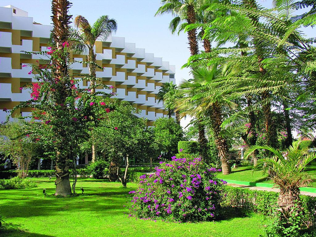 Pyramisa Isis. Фото 4