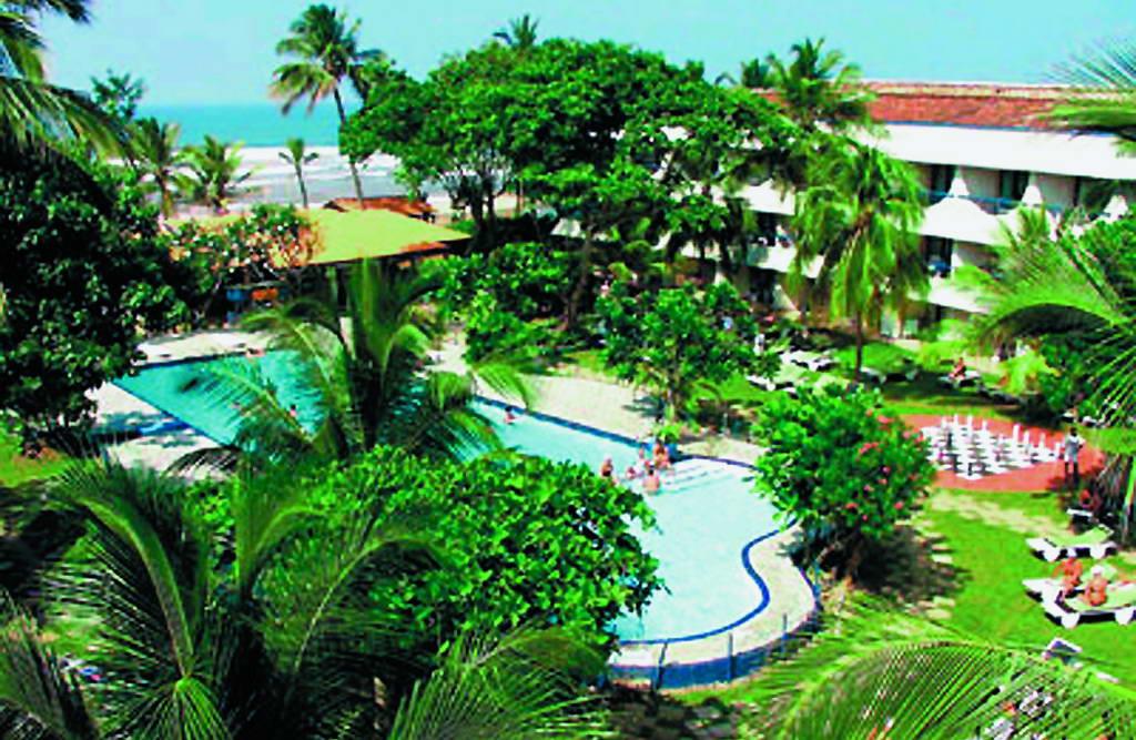 Club Palm Garden. Фото 4