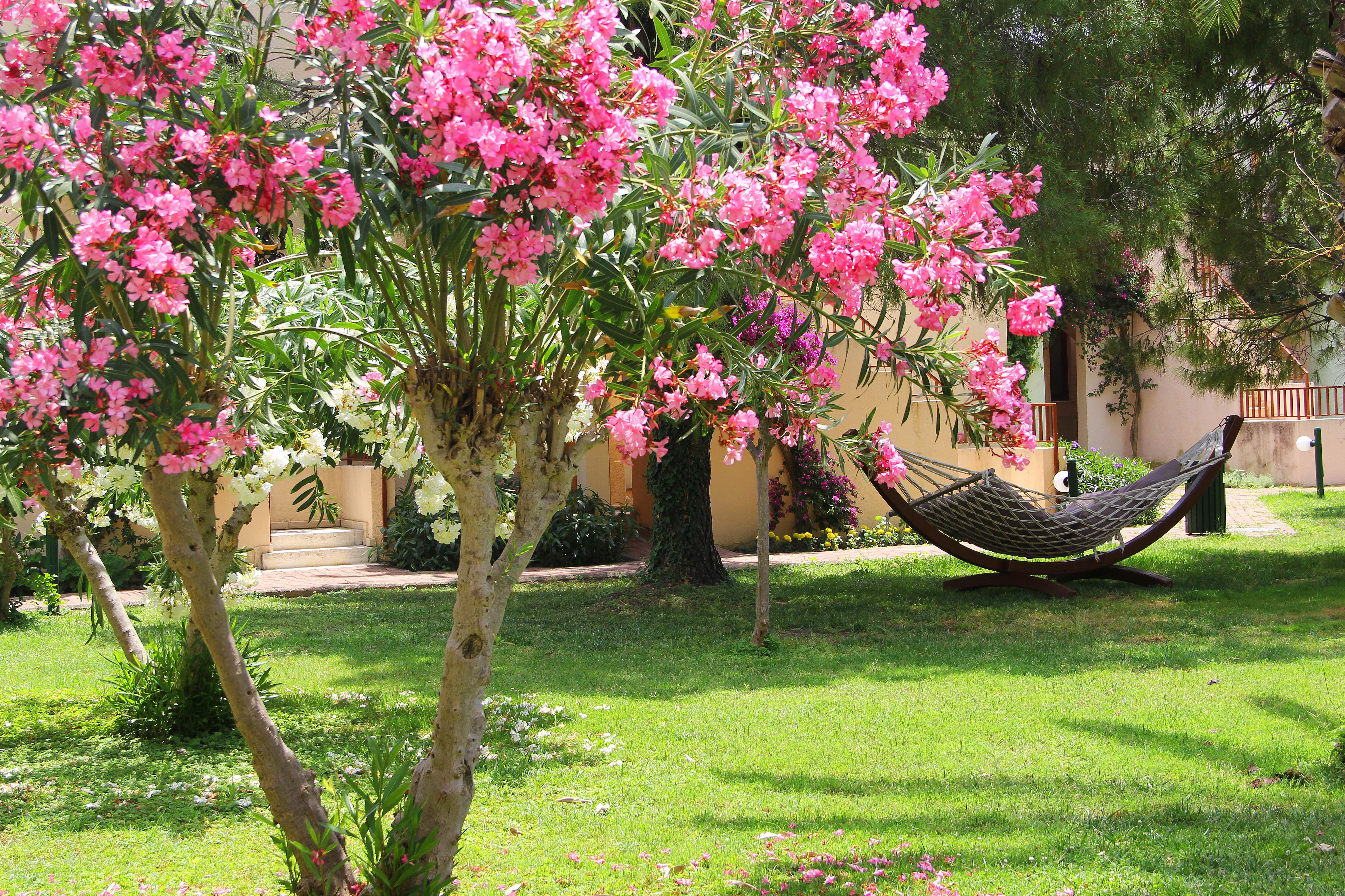 Vonresort Golden Beach. Фото 3