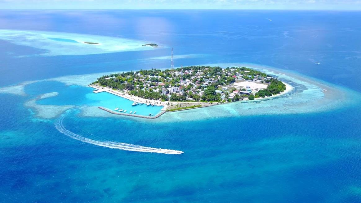 Fins Dive & Leisure Inn. Фото 4