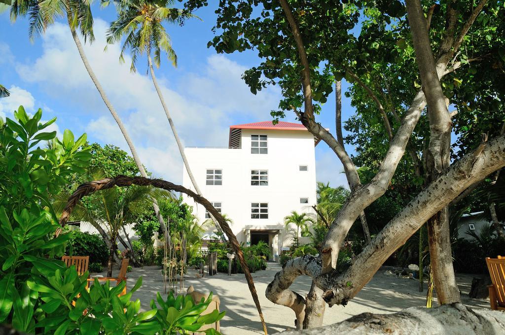 Ariston Dhangethi Inn. Фото 2