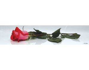 Панель SP 032 2 800х610х6мм