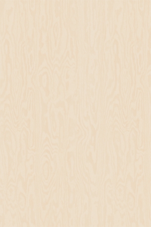 Кромка плоская 0,8х35мм Парма 500048W 13654261548 Rehau