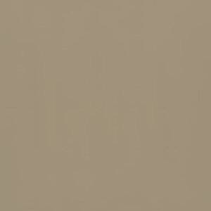Кромка 1х22мм 687 Metallic Gold  high gloss(глянец) 4 группа AGT 