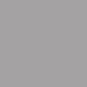Панель 3020  Safari Grey Supramat (двухсторонн.матовый) 18х1 220х2 800мм AGT 