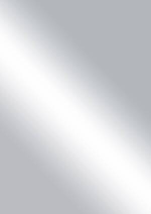 Фасадное полотно Slotex 9701/MR двустороннее покрытие 18х1 215х3 000мм Scalar ДСП Slotex 