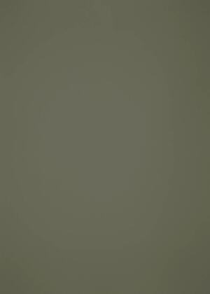 Панель 740/3085 Beige Grey soft touch(матовый) 2 группа 18х1 220х2 800мм AGT 