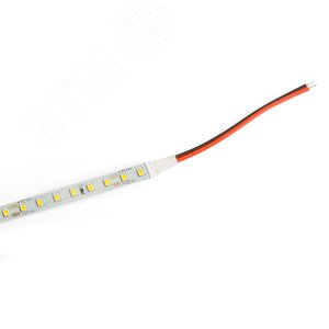 Лента светодиодная 9.6Вт/м 12В 6500К IP20 120LED/м SST02