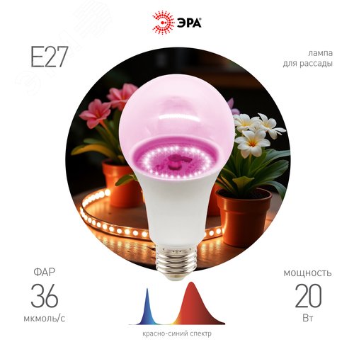 Фитолампа для растений светодиодная розового свечения LED 20 Вт ФИТО A65-20W-PL-E27-GR GREEN LINE