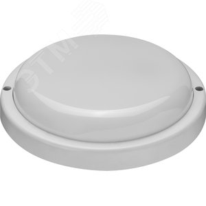 Светильник ДБП-20вт OBL-R4-20-6.5K-WH-IP65-LED-SNRM