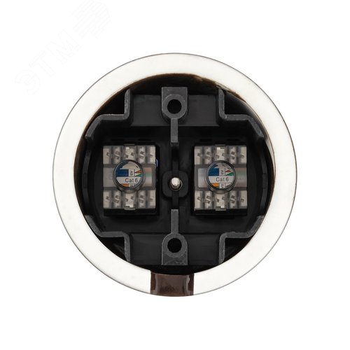 Розетка двойная компьютерная RJ45 коричневая Болонь TDM