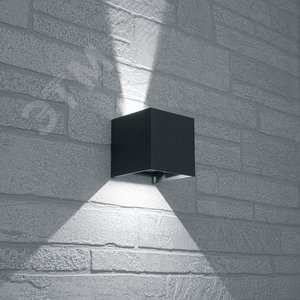 Светильник светодиодный уличный ДБУ-2х3w вверх/вниз 3000K IP54 черный