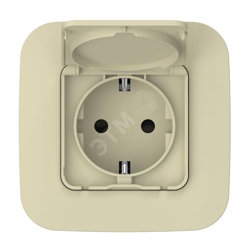 FLITE Розетка с заземлением с защитными шторками и крышкой 16А IP44 РСшкр11-0-44-ФлН навахо