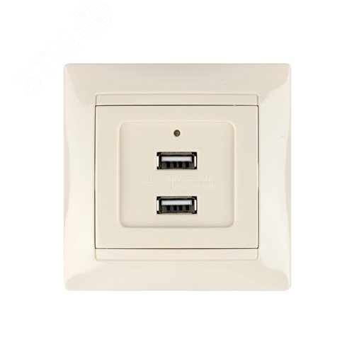 Розетка 2USB порт 2,1А 5В сл. кость Лама