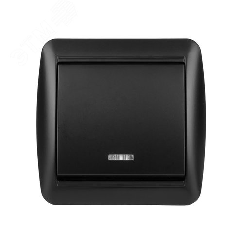 Выключатель 1-кл. открытой установки с подсветкой IP44 10А графит Селигер TDM