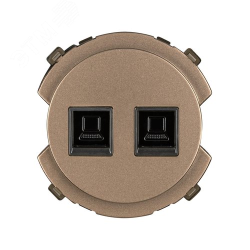 Розетка компьютерная двойная RJ45 бронза Байкал TDM