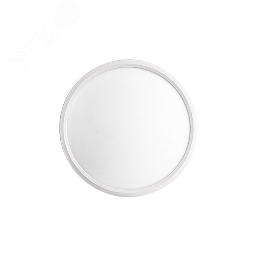 Светильник светодиодный ДБО-28 Вт настенно-потолочный SLIM WHITE 4500K 2398Лм 300x25мм